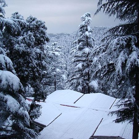 Fairmount Hotel Shimla Exteriör bild